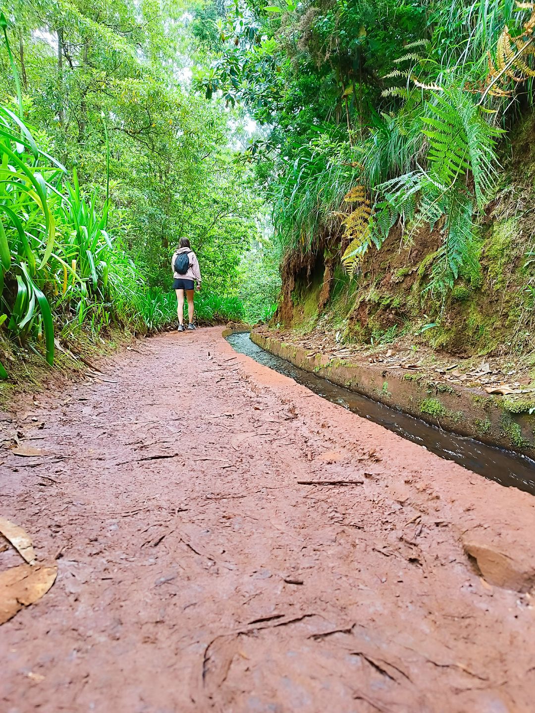 PR 18 Levada do Rei