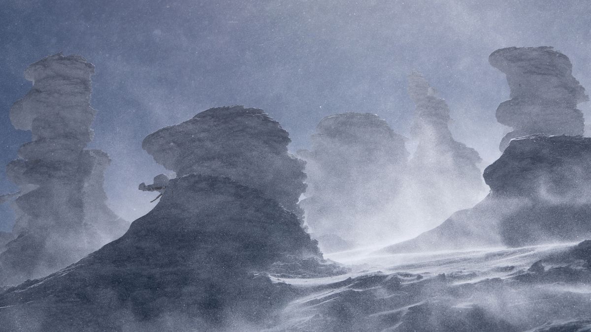 YAMAGATA, JAPAN - FEBRUARY 13: Snow-covered trees, known as "snow monsters" or "Juhyo" in Japanese, are seen on Mount Zao on February 13, 2024 in Yamagata, Japan. The area is one of the few places globally where the right combination of snow, strong winds, and low temperatures traps trees in layers of snow and ice, forming the unique shapes of snow-covered trees. Researchers reported last year that the distribution range of the "snow monsters" is shrinking due to global warming. (Photo by Tomohiro Ohsumi/Getty Images)