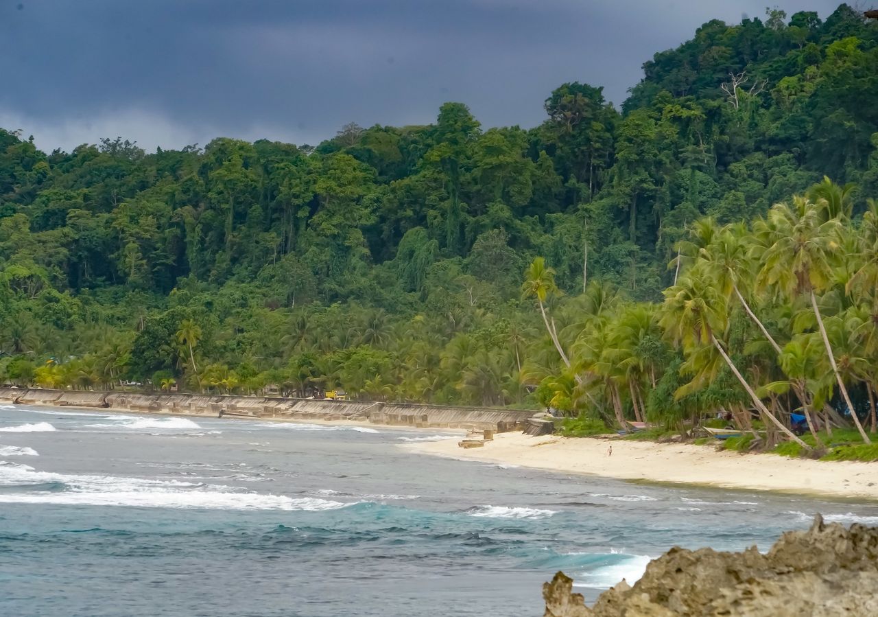 Indonezja. Mieszkańcy wyspy Biak nie chcą u siebie Elona Muska