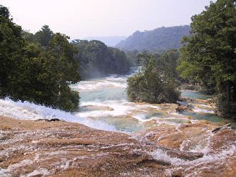 Uwaga rolnicy, których gospodarstwa zostały zniszczone przez powódź