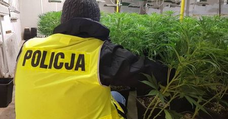 Policjanci z Lublina i Rzeszowa rozbili narkotykowy biznes warty blisko 5 mln zł
