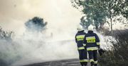 Wypadek na drodze krajowej 12 w Atalinie w gminie Zwoleń. Są utrudnienia w ruchu