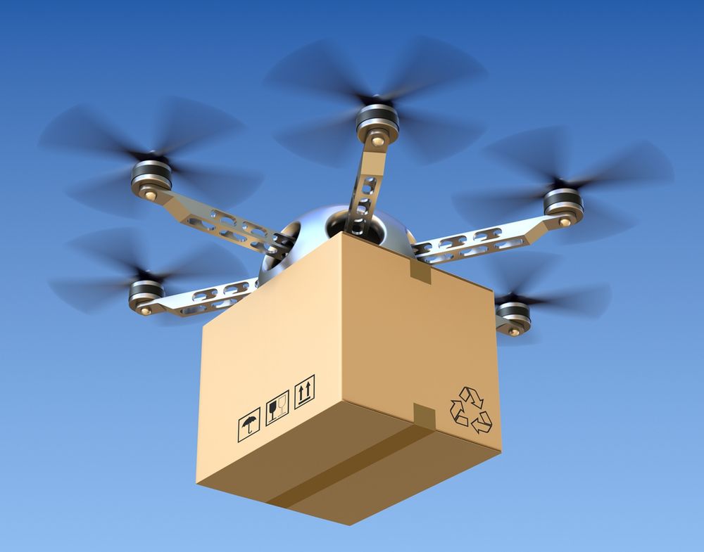 Holendrzy użyją duńskich orłów do walki z amerykańskimi dronami chińskiej produkcji 2