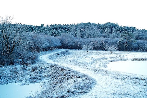 Człowiek, który sfotografował milion widoków z tego samego okna 4