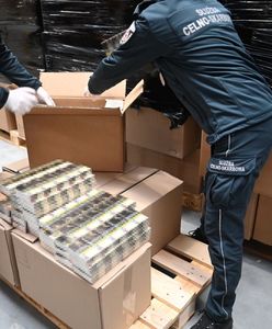 Ciężarówka wyładowana papierosami. Przejęto ponad 7 milionów sztuk