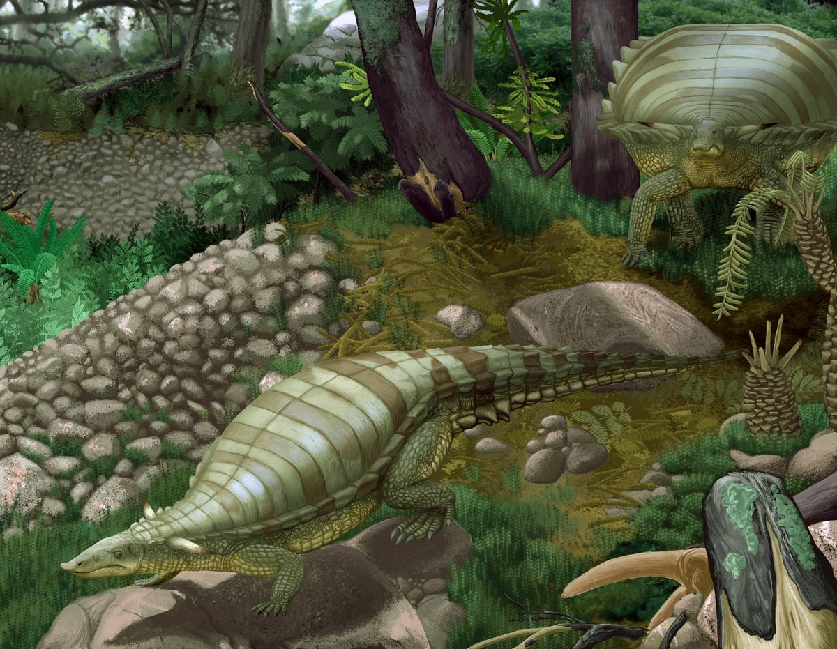 Naukowcy odnaleźli w Kocurach szczątki nieznanego gada. Na ilustracji "krewniak" gada odkryty w Nowym Meksyku w USA
