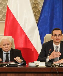 PiS z szansą na samodzielne rządy. Najnowszy sondaż