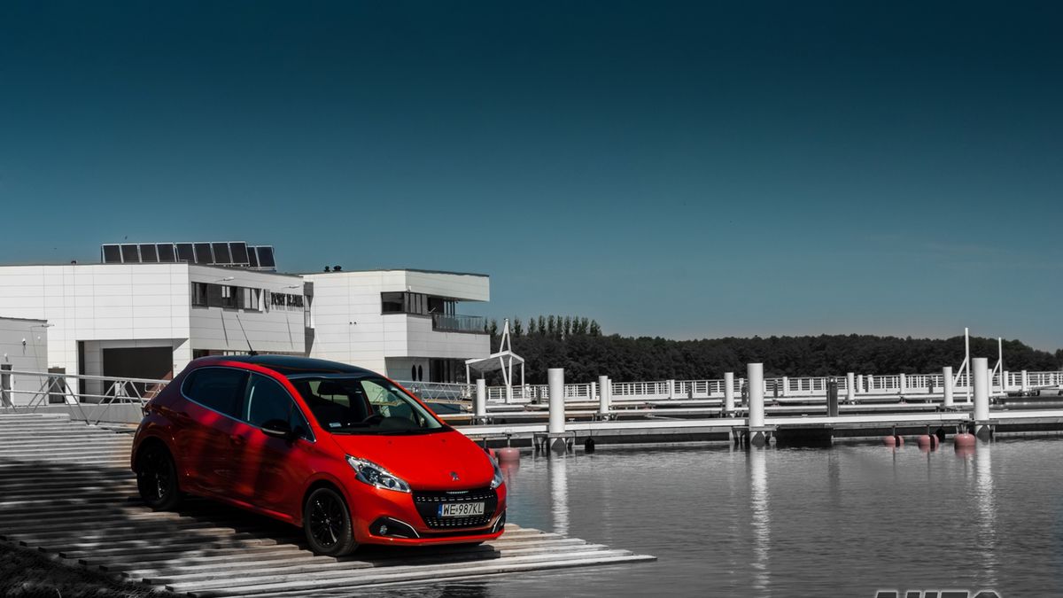 Zdjęcie ilustracyjne do artykułu