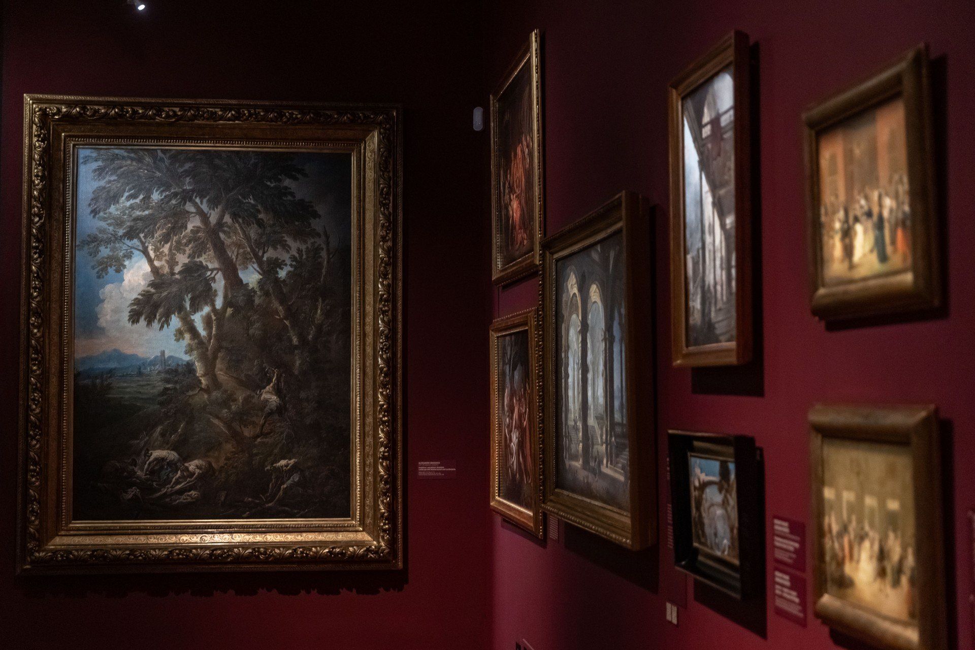 Zbiory prezentowane przed laty w Europeum znalazły swoje miejsce w Gmachu Głównym