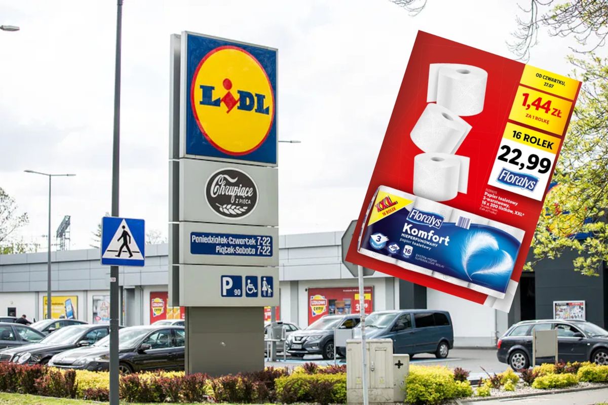 Sitemapcdatahttpsfoowindecoocomdestructeur Papier Lidl