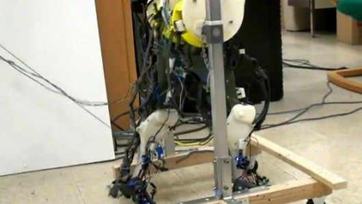 Robotyczne nogi, które zachowują się jak ludzkie. Zobacz wideo 1
