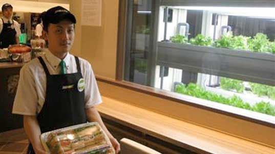 Zdrowa żywność w fast foodach? W Japonii to możliwe! 1