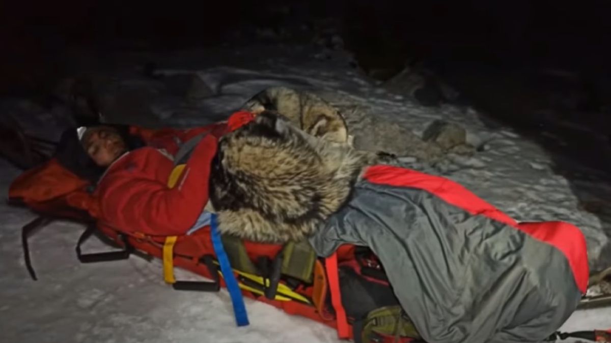 Grga Brkić zginąłby, gdyby nie zabrał ze sobą w góry psa 