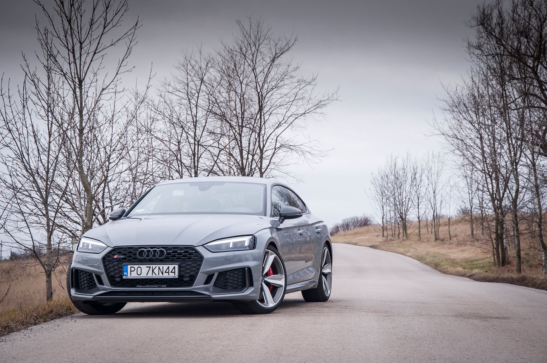 Audi RS 5 Sportback (2019) (fot. Mateusz Żuchowski)