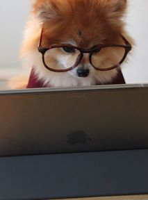 Co nowego w marcu na HBO GO? DŁUGA lista premier i nowości