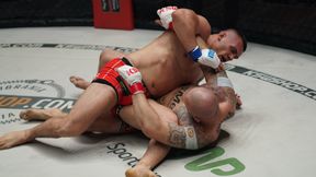 MMA. KSW 59. Michał Włodarek - Darko Stosić. Brutalny nokaut, teraz chce walki o pas!