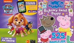 Media Service Zawada zwiększyło sprzedaż o 9 proc., wypłaci dywidendę