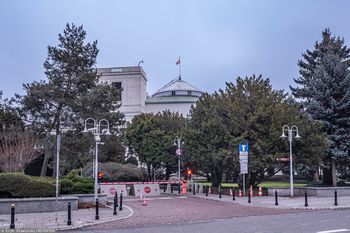 Zakaz hodowli zwierząt na futra. Jest zgoda komisji