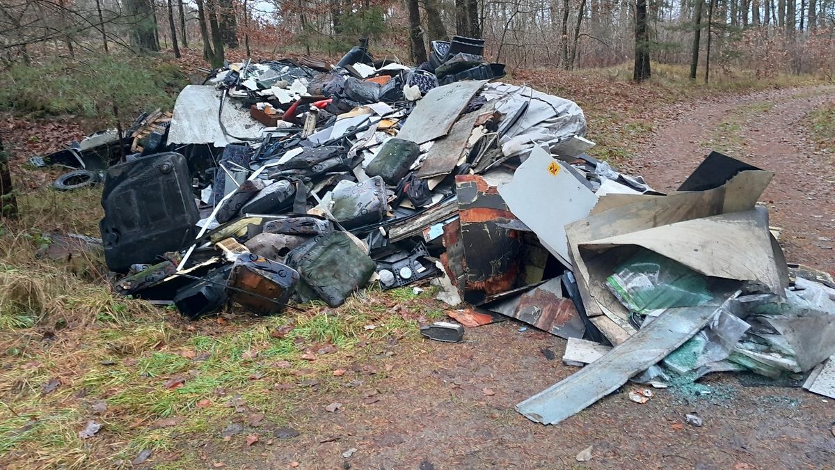 Ktoś porzucił hałdy śmieci w lesie (Facebook/Nadleśnictwo Lębork). 