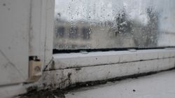 Rozłóż na parapecie. Tani sposób na uciążliwy problem