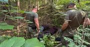 Akcja strażników i policji na granicy polsko-litewskiej. Zatrzymano 46 cudzoziemców