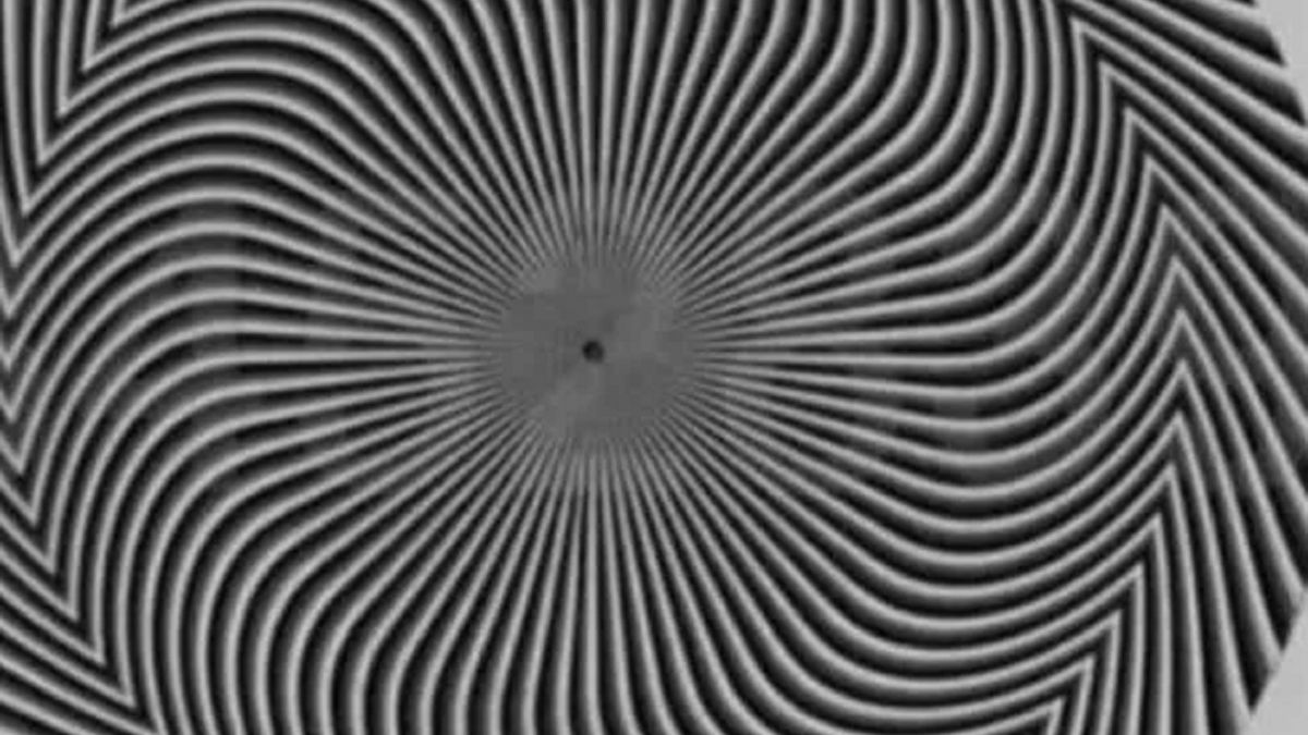 Iluzja optyczna podzieliła internautów