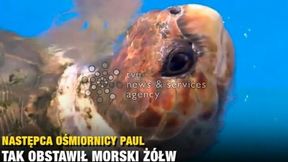 Żółt stawia na Brazylię w meczu otwarcia