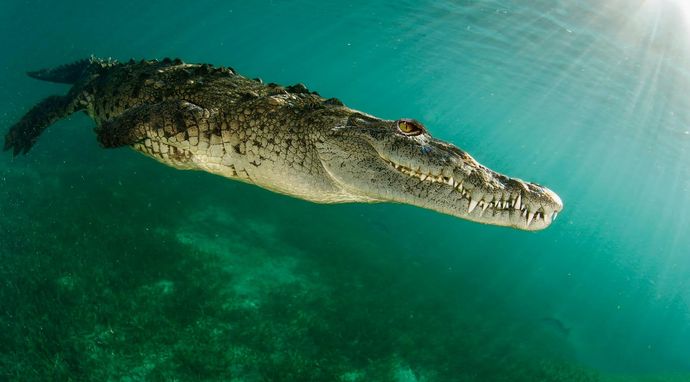 Planeta w ciągłym ruchu