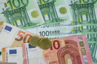 600 euro kary za zamówienie podróbek na chińskiej platformie zakupowej