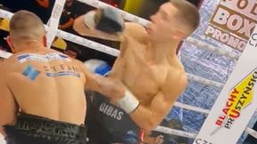 Brutalny nokaut na gali w Częstochowie. Następca Adamka na deskach [WIDEO]