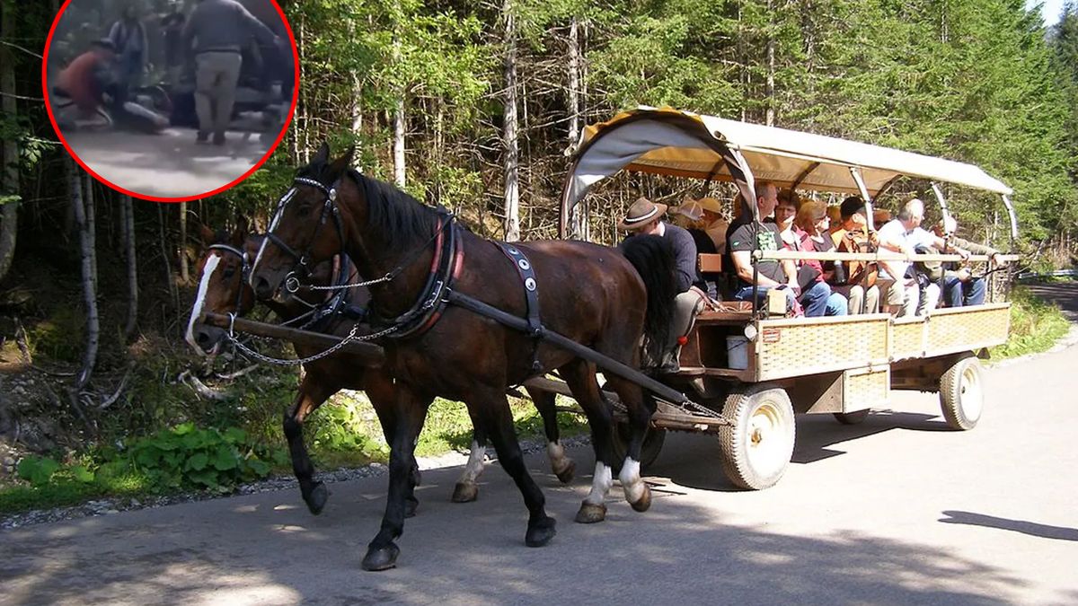 Czy sprawa koni nad Morskim Okiem będzie miała swój polityczny finał?
