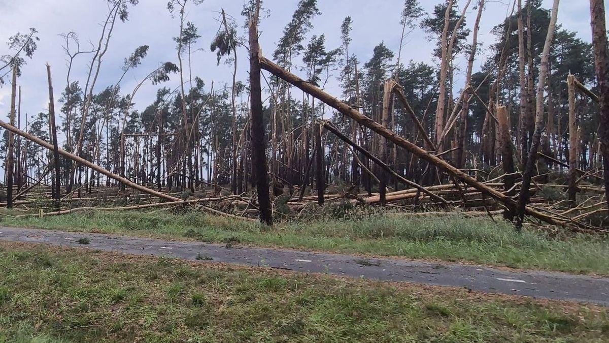 Nie wchodź do lasu. Pilny apel po nawałnicach