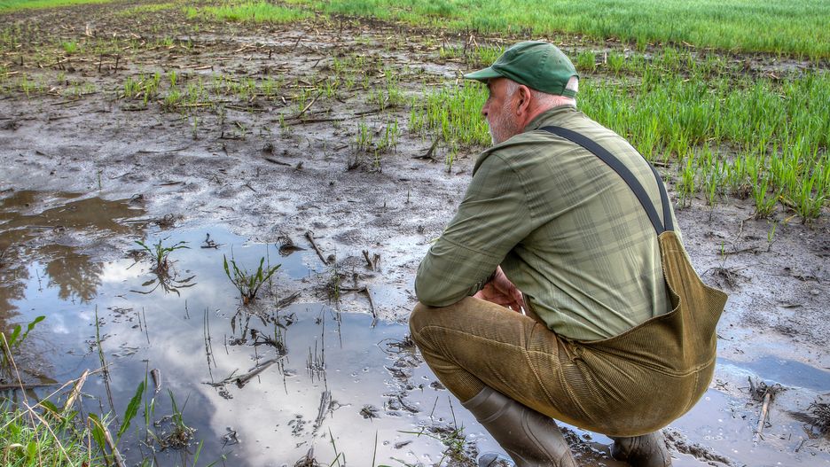 As the farmer surveys his flooded field, he feels a sense of despair. Climate change has brought more extreme weather, making it harder to grow crops and maintain his livelihood.
Edgar Biehle
farmer, farming, agriculture, flooded, mud, crop failure, Field, rubber boots, person, man, senior, heavy rain, climate change, global warming, Agriculture, climate, global, change, warming, nature, earth, pollution, green, concept, water, plant, planet, future, environment, weather, eco, drought, co2, industrial, sustainable, growth, emissions, problem, disaster, heat, damage, extreme, Heatwaves, Biodiversity, Footprint, Methane, shortage, ecology, planet, dry, drought, protection, crisis, aridity, heat, erosion, farmer, farming, agriculture, flooded, mud, crop failure, field, rubber boots, person, man, senior, heavy rain, climate change, global warming, climate, global, change, warming, nature, earth, pollution, green, concept, water, plant, planet, future, environment, weather, eco, drought, co2, industrial, sustainable, growth, emissions, problem, disaster, heat, damage, extreme, heatwaves, biodiversity, footprint, methane, shortage, ecology, outdoor