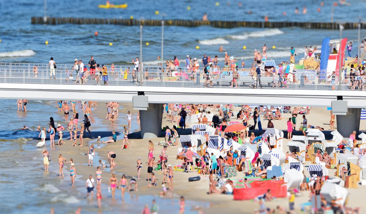 Ten przysmak króluje na polskich plażach. Trzeba jednak słono za niego zapłacić