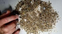 Sensacja ponad 400 km pod ziemią. Naukowcy zacierają ręce