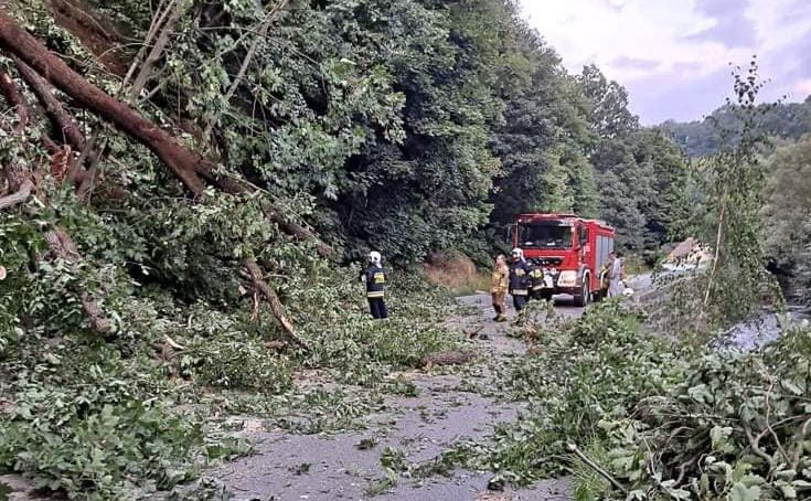 O krok od tragedii. Kilkanaście drzew zawaliło się na drogę