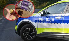 Igły i gwoździe w słodyczach na Halloween. Złożono zawiadomienia