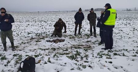 Policja i naukowcy na nogach. Straszne, co stało się na Lubelszczyźnie
