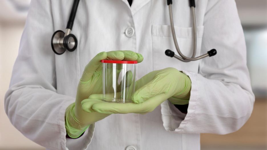 Bank spermy - procedury funkcjonowania, jak oddaje się nasienie, kto może skorzystać