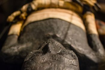 Otworzyli sarkofag sprzed 2 tys. lat. Szczątki zachowały się wyjątkowo dobrze