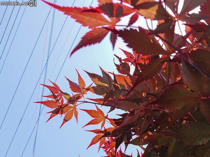 #wSkrócie: Sony Xperia XZ3 w GFXBench, Huawei P9 bez Oreo i Google Assistant po polsku 2