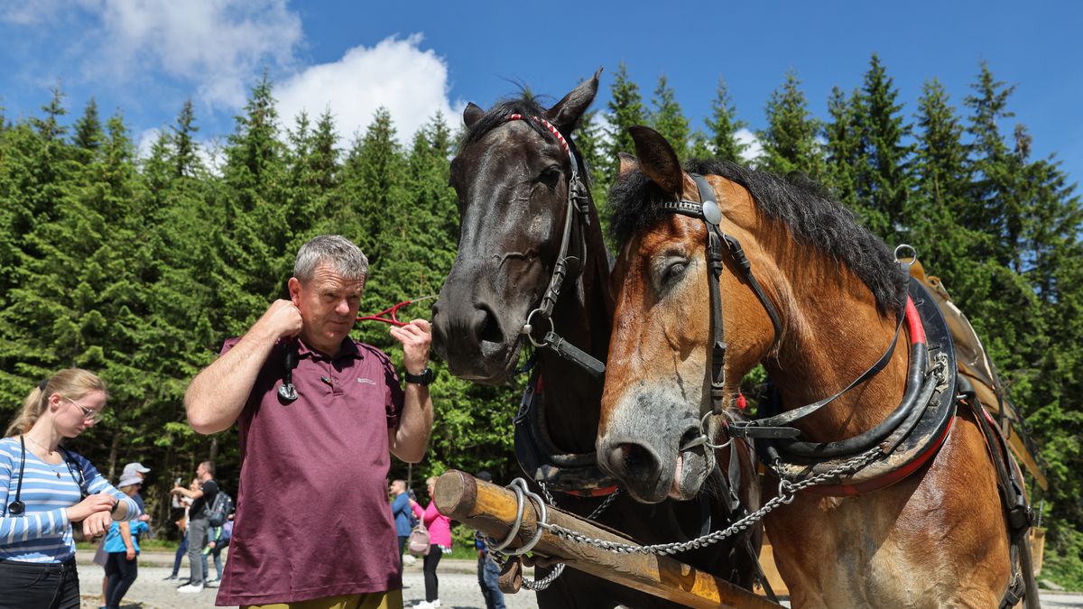 Związek Podhalan argumentuje, że konie jeżdżące do Morskiego Oka