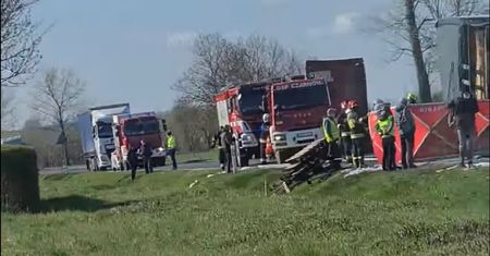 Lubuskie. Tragiczny wypadek na DK 31. Drastyczna śmierć kierowcy mercedesa