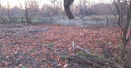 Cmentarz żydowski w Kraśniku z ukrytym monitoringiem. Koniec z wysypiskiem śmieci