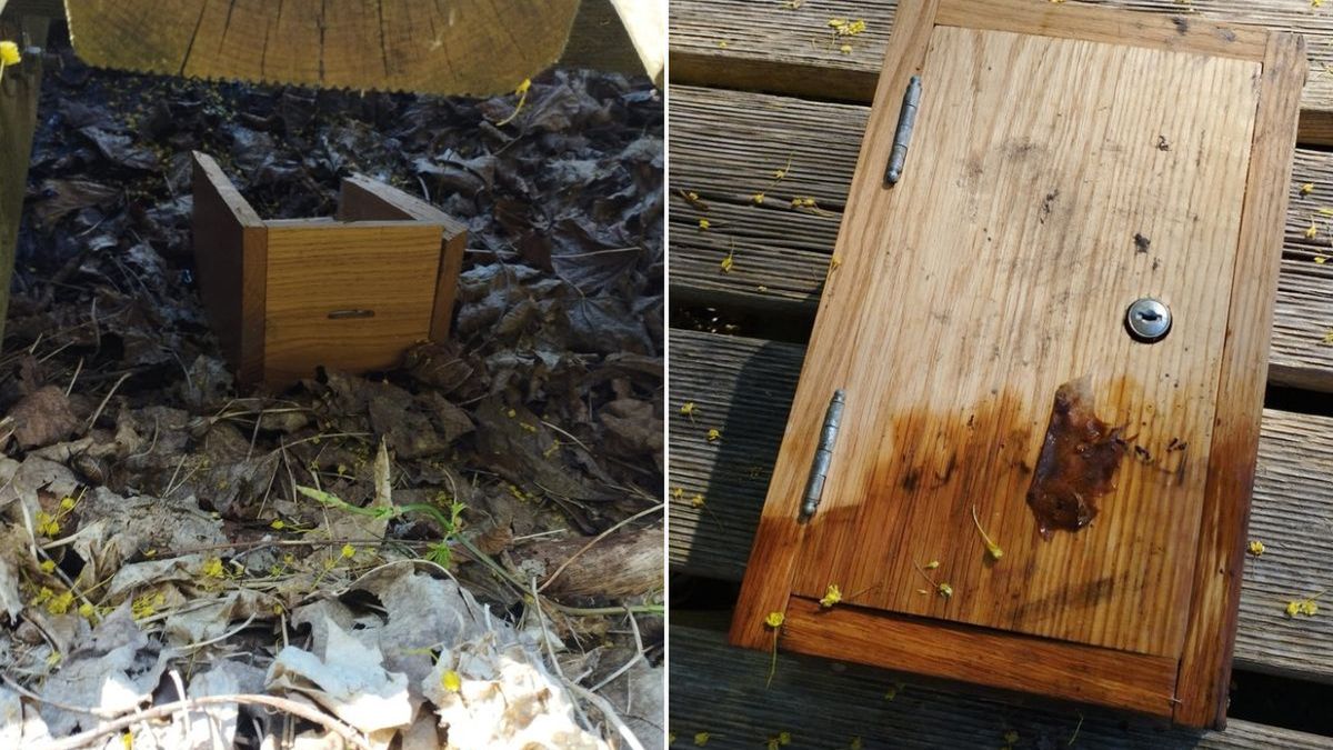 Skradziona skarbonka