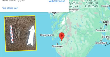 Norwegia. Archeolodzy odkryli nietknięty skarb wikingów
