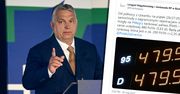 Koniec z tanią benzyną. Tak Węgry będą walczyć z "turystyką paliwową"