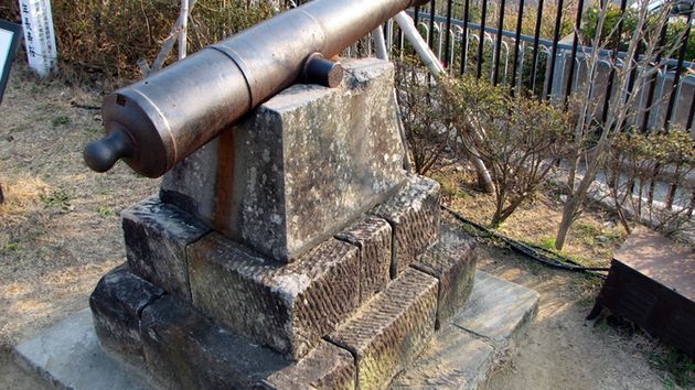 Armata domowej roboty (wideo) 1