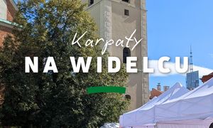 Tłumy mieszkańców i zapach kociołka na rynku. Rzeszów tak świętował "Karpaty na Widelcu"