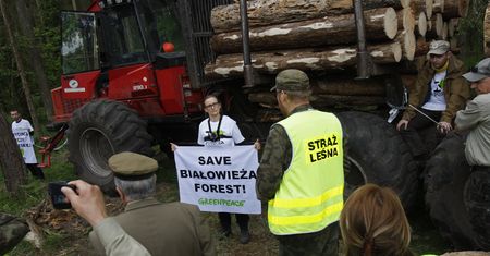 Ekolodzy alarmują. Senat przyjął głosami opozycji przepisy, które zabiją społeczną kontrolę nad inwestycjami